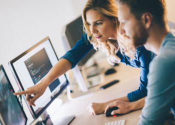 Programador desarrollador web